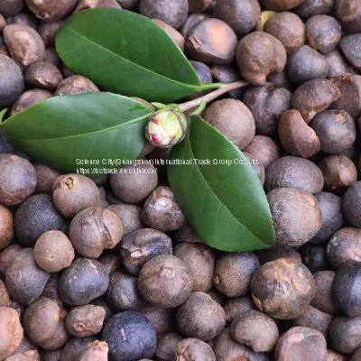 100% Organic Supreme Quality Camellia Seed Oil Extracted by CO2 (Edible/Cosmetic) photo-2