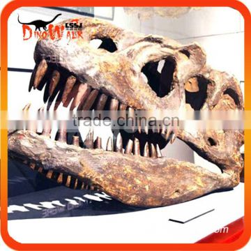 Hot saleanimal Artificial Emulation Realistic Animal Dinosaur Skull