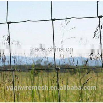 Highly Protection Level Glassland Fence