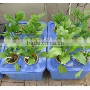 2016 hydroponics system- BOX CWH-002 for greenhouse/indoor/garden decoration