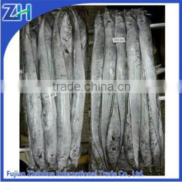 A grade fresh wholesale seafood frozen ribbon fish for sale