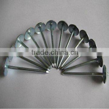 Galvanized Roofing Nails With Umbrella Head Factory