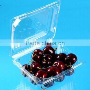 plastic food packaging container