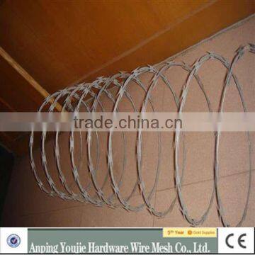 Single Type Razor Barbed Wire Mesh