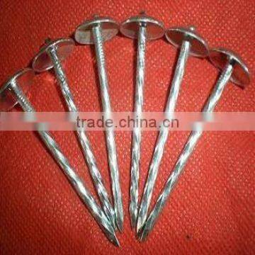 2"x9bwg Galvanized Roofing Nails With Umbrella Head