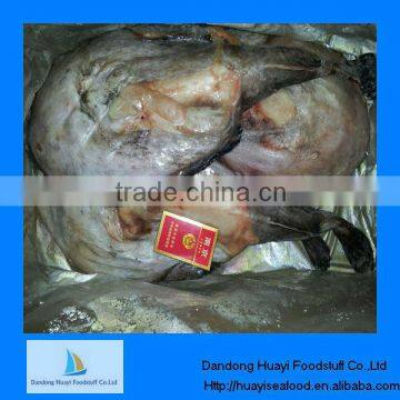 Frozen high quality monkfish