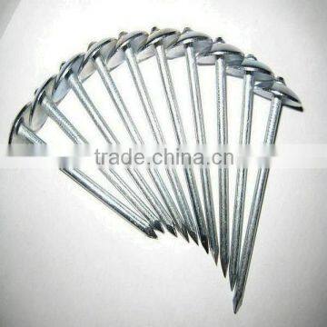 Corrugated Roofing Nails photo-5
