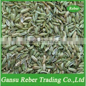 Seasoning&Spices Chinese Fennel Seeds Gansu origin