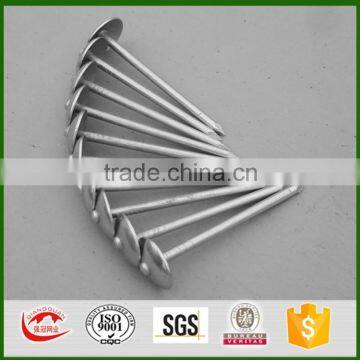 Twisted shank galvanized umbrella head roofing nails