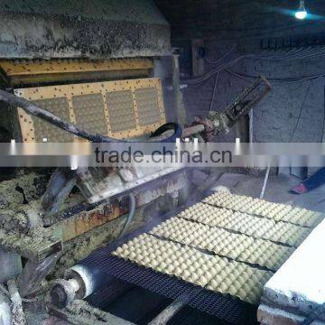 2500pcs/hr professional machine making egg trays