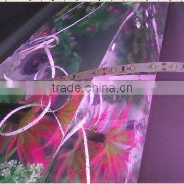 Hot Sale Nano Waterproof Smd Flexible Led Strip photo-3