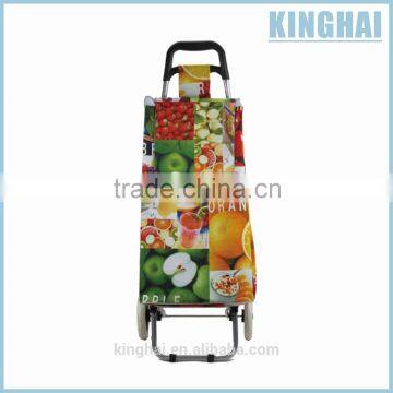 2 wheel shopping trolley/cheap shopping trolley/shopping cart