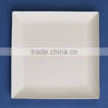 F1-PL-07-S Bagasse Square Plate photo-3
