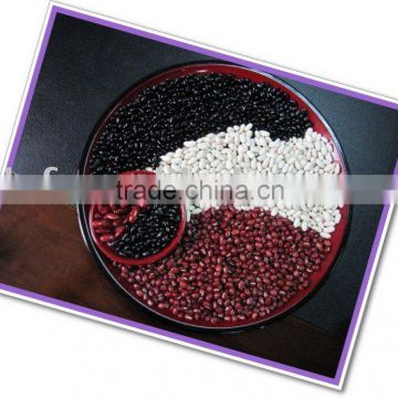 all size new crop kidney bean 2010