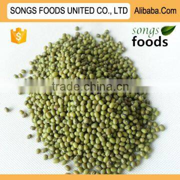 Mung Beans With High Quality