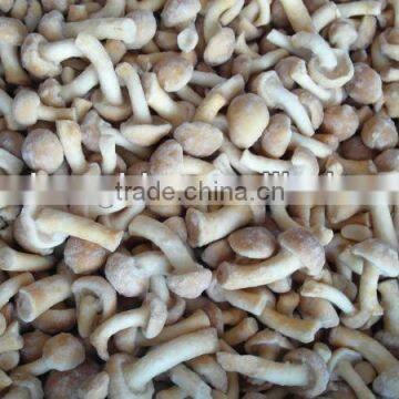 Fresh frozen pholiota nameko