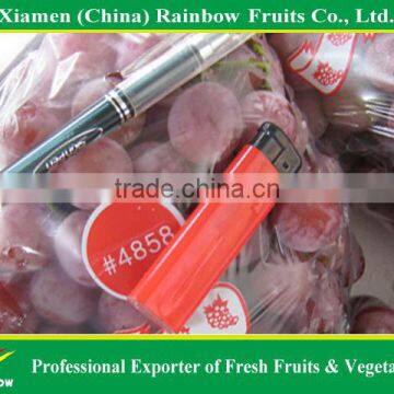 Red Globe Grapes Price Yunnan Red Globe Grape Sweet Fresh Good Taste photo-2