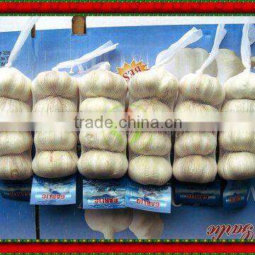 shandong fresh new crop garlic