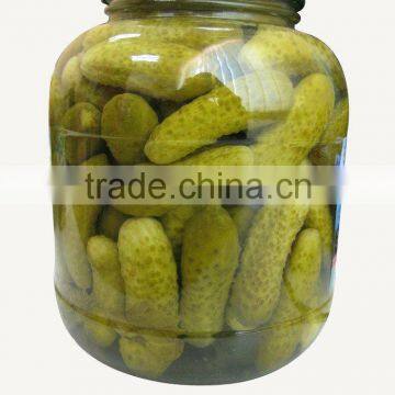 100% fresh pickled cucumbers in jar from Vietnam, good quality and cheap price by HAGIMEX