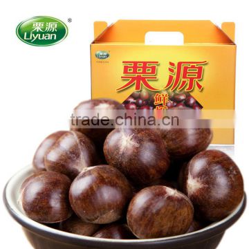 Fresh sweet chestnuts 2014 crop, new crop