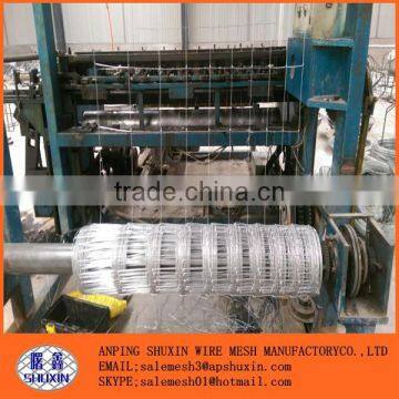 Deer field fence/deer fence netting(Factory)