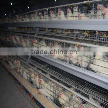 small farm equipment automatic battery chicken cage