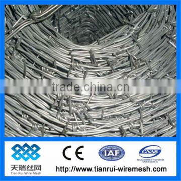 straight line razor barbed wire