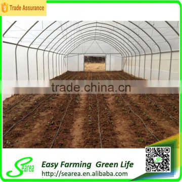 Low cost plastic agriculture greenhouse