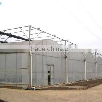 Low Cost Plastic Film Greenhouse For Vegetables & Agriculture Greenhouse photo-4