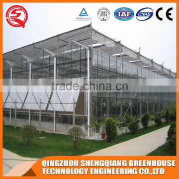 Agriculture farming Multifunction high quality Venlo glass greenhouse