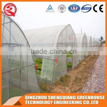 Multifunction Plastic Film Greenhouse for Vegetables Planting,flowers,culture photo-5