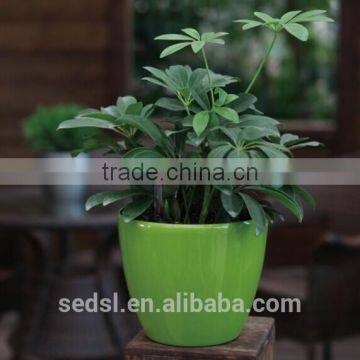 Small Decorative Plastic Plant Pots Indoor, Flower Pots photo-3