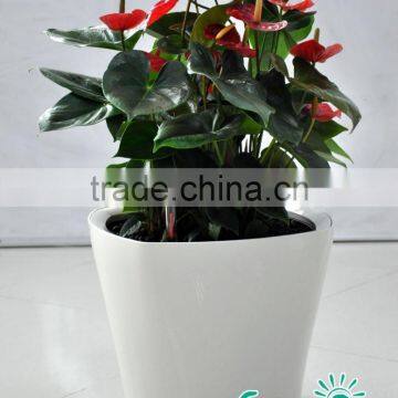 Wholesale outdoor and indoor decorating plastic planter planter flower pots,led cube flower pot