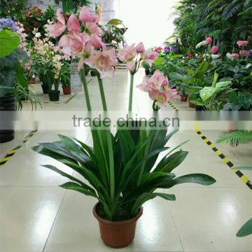 SJ300916 Artificial indoor decorative bonsai plant with daffodils flower