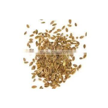 Dill Seed Oil photo-5