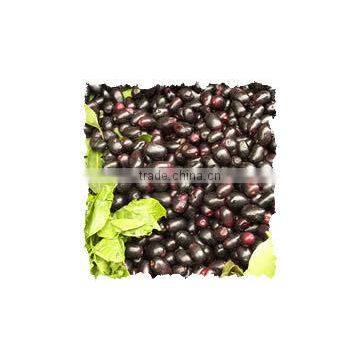 Eugenia Jambulana Extract photo-3