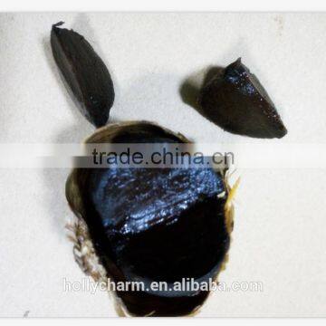 Korean Hot Sale Solo Black Garlic in Selling photo-2