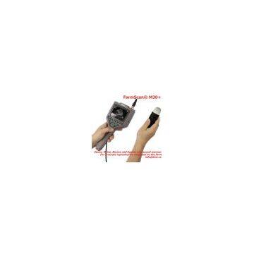 pig,sheep ultrasound scanner for veterinary