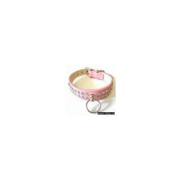 Sell Dog Collar