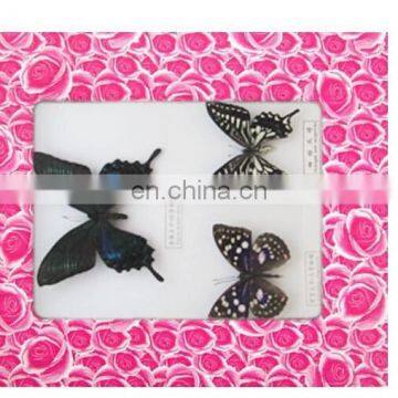 Wall Pedant Mural Butterfly Frame for Gifts photo-3
