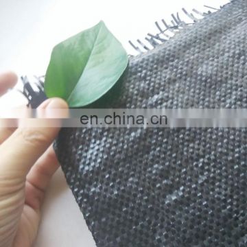 High quality dark green ground cover fabric