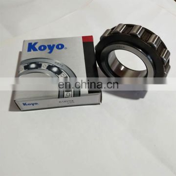 KOYO 618YSX  Cylindrical Roller Bearing 618 YSX for Sale