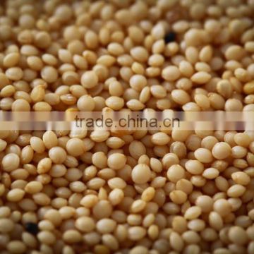 Fine grade Organic Amaranth Seeds At your door step