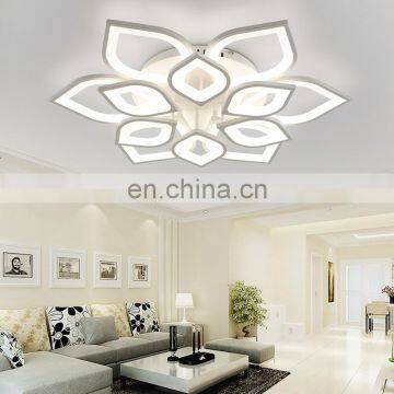 2018 New Products Creative Living Room Lamp 6/8/12 Head Warm Modern Flush Mount LED Ceiling Lamp With Remote Control photo-2