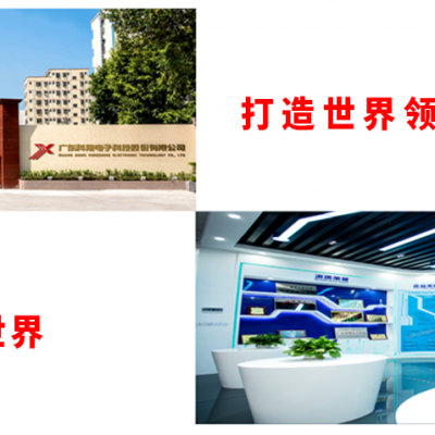 Guangdong Kingshine Electronic Technology Co., Ltd company overview - view 1