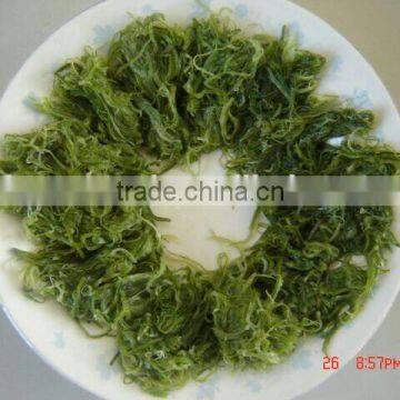 No Seasoning Frozen Wakame Stem Seaweed Raw Material