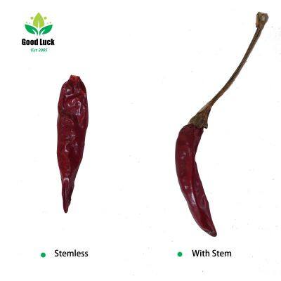 Tianying/chaotian Dry Red Chili Stemless photo-2