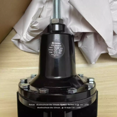 20AG-X6G-PH100, Norgren, Pressure Reducing Valve, G3/4 Thread