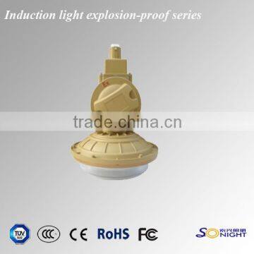 high quality Corrosion and acid proof 2700k-6500k ip65 induction explosion proof light