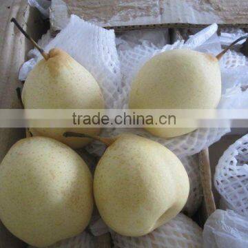 Chinese fresh Ya pear